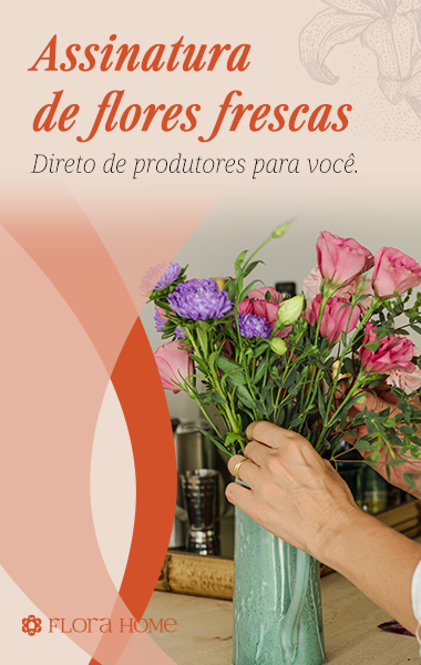 banner1 v2 copiar